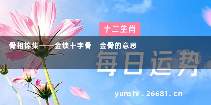 骨相锦集——金锁十字骨 金骨的意思